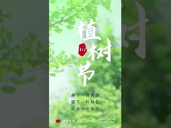 алюминиевого оксида конвейерной роли